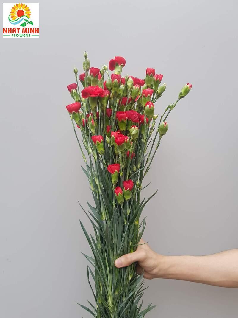 z2416263348270_c6d468770eaf4e278b004ebc0d6faaf9