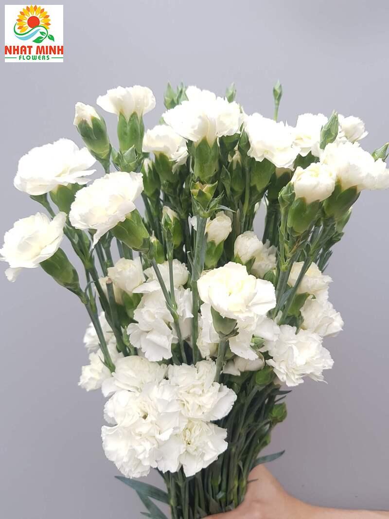 z2416264608811_556aed9f4d85b735ce60023e849287e1