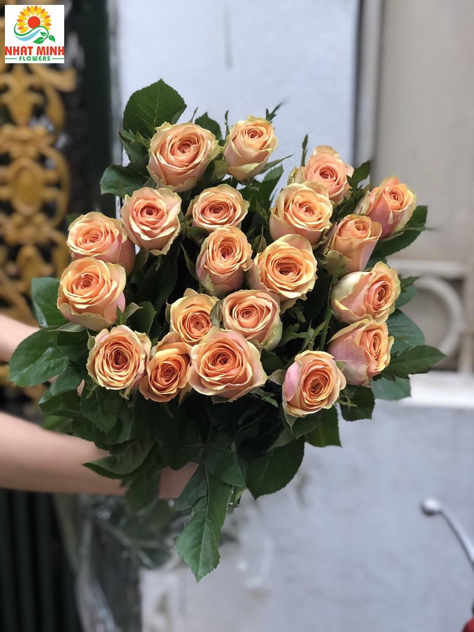 cam đất cam đất