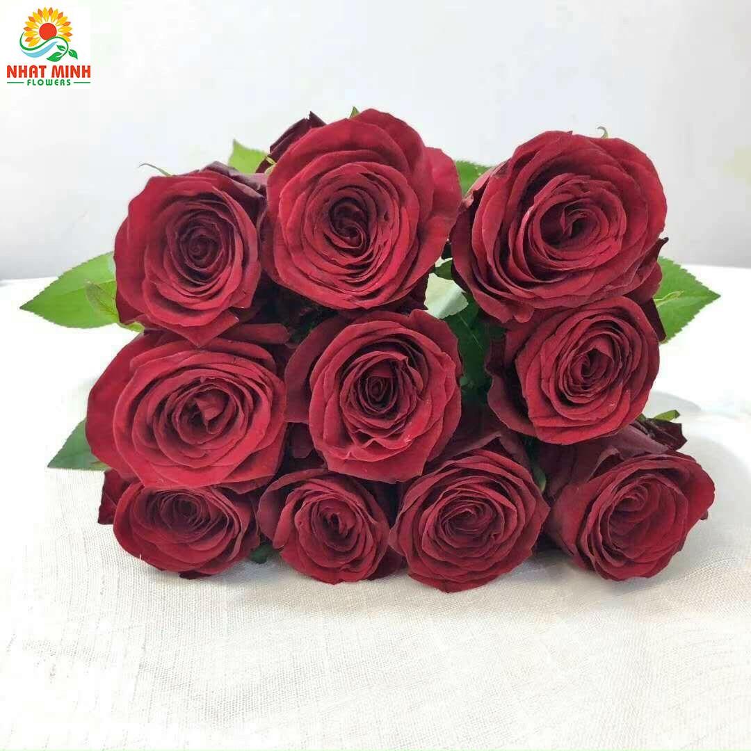 đỏ rednaomi đỏ rednaomi