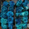 Hoa hồng xanh blue xoăn