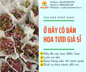 công ty hoa tươi nhật minh