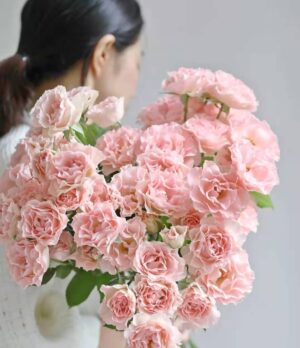 hồng chùm nàng tiên cá