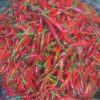 ớt đỏ