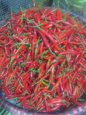 ớt đỏ