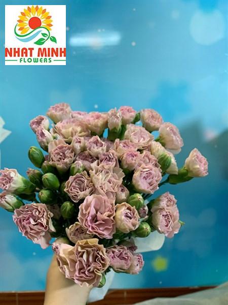 phăng chùm cà phê phăng chùm cà phê