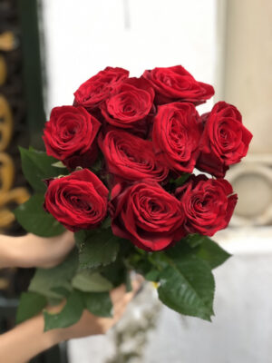 hoa hồng red naomi hf