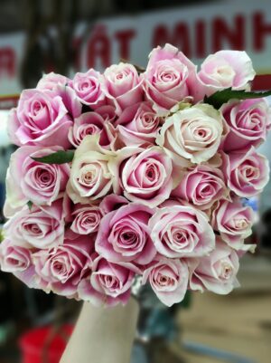 Hoa Hồng trà Đà Lạt