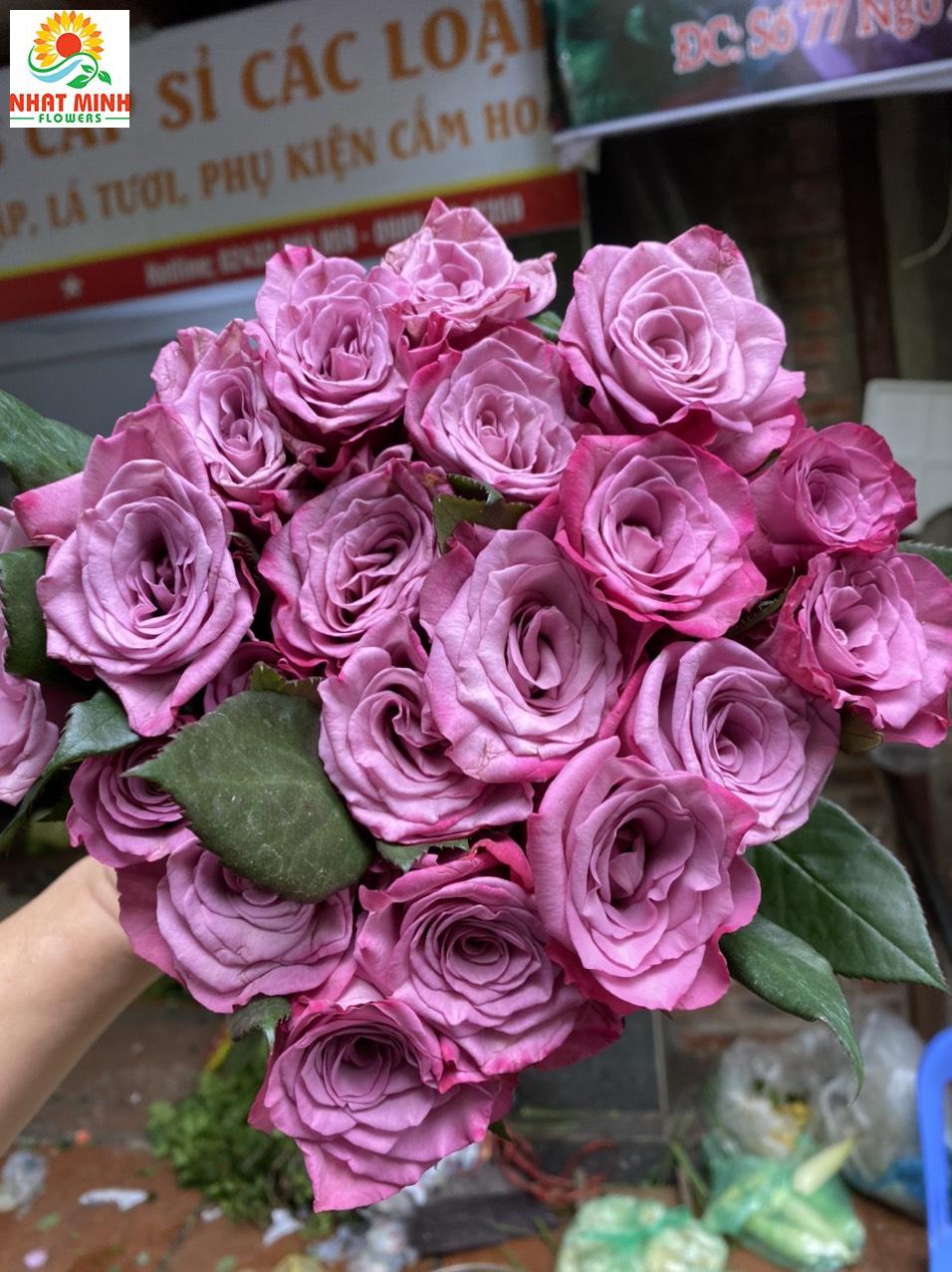 moody blue moody blue