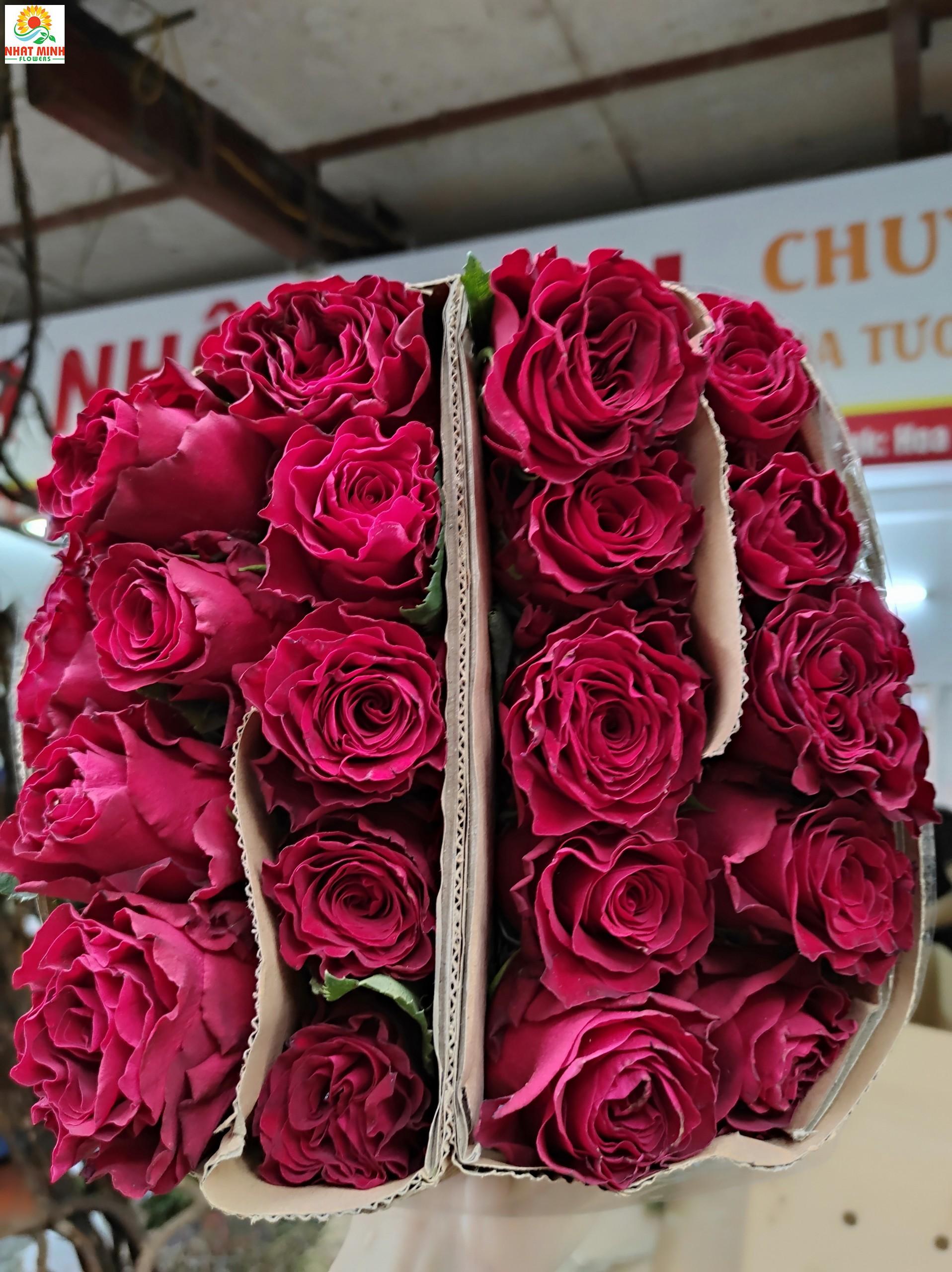 đỏ cô dâu đỏ cô dâu