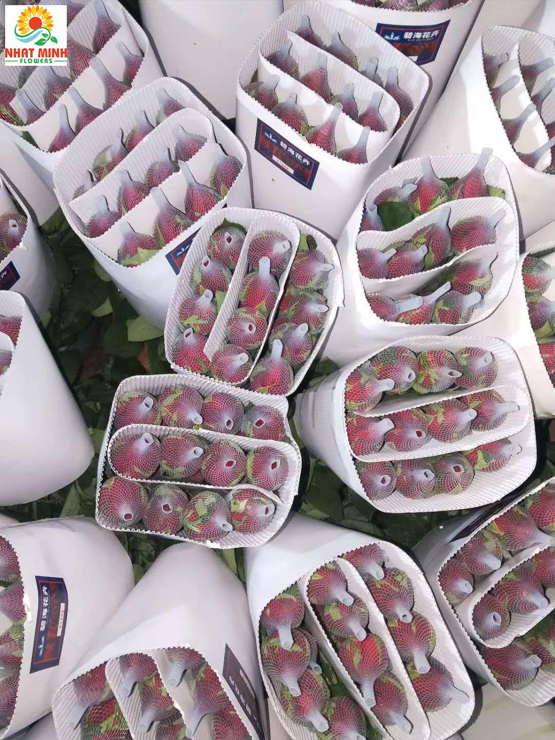 hoa hồng đỏ lưới hoa hồng đỏ lưới