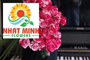 hoa hồng vân gỗ đỏ