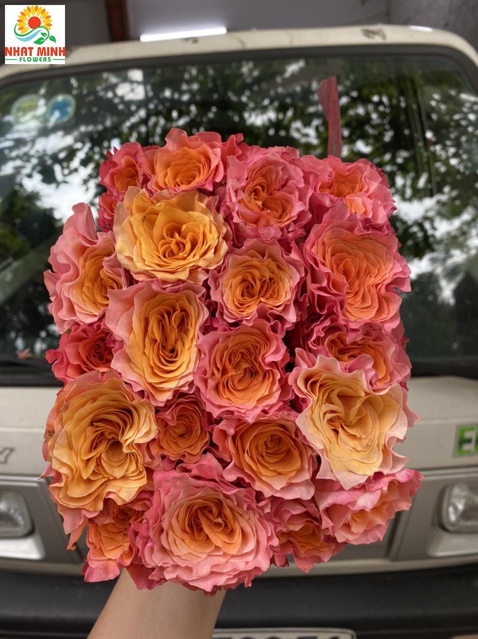 cam spirit cam spirit