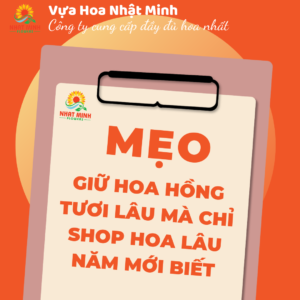 mẹo bảo quản hoa hồng