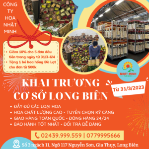 hoa sỉ long biên